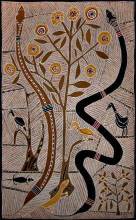 THE STRINGYBARK TREE